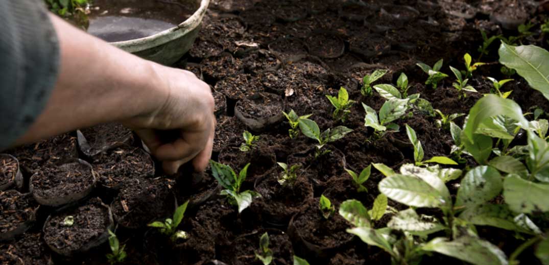 climate-change-action-organic Man planting