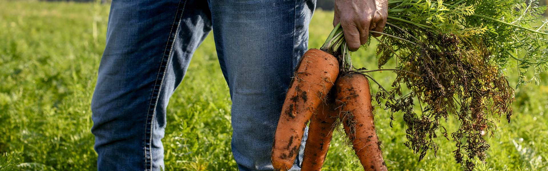 agriculture-food-systems-story-big