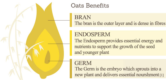 Oats Benefits