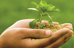 Environmental sustainability