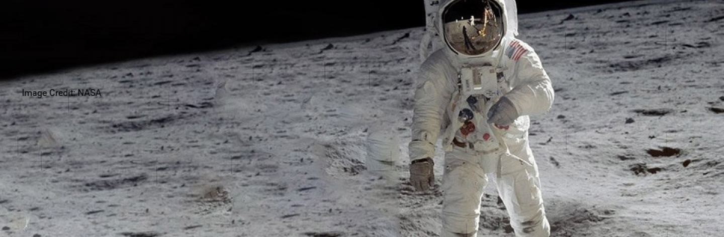 fly in the moon