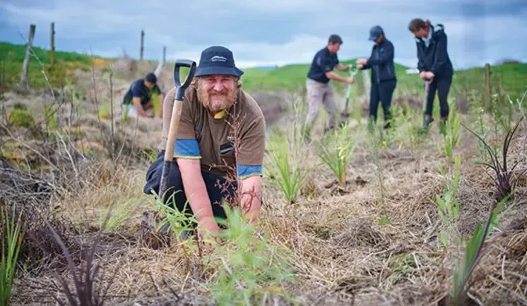 Tree planting