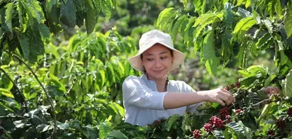 coffee_farming_lady