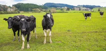 Nestlé welcomes Fonterra Scope 3 announcement