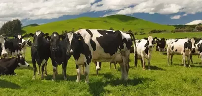 supporting-dairy-farmers-fw