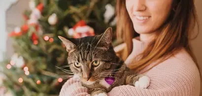 Christmas Cat