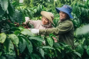 agriculture-food-systems-story-banner