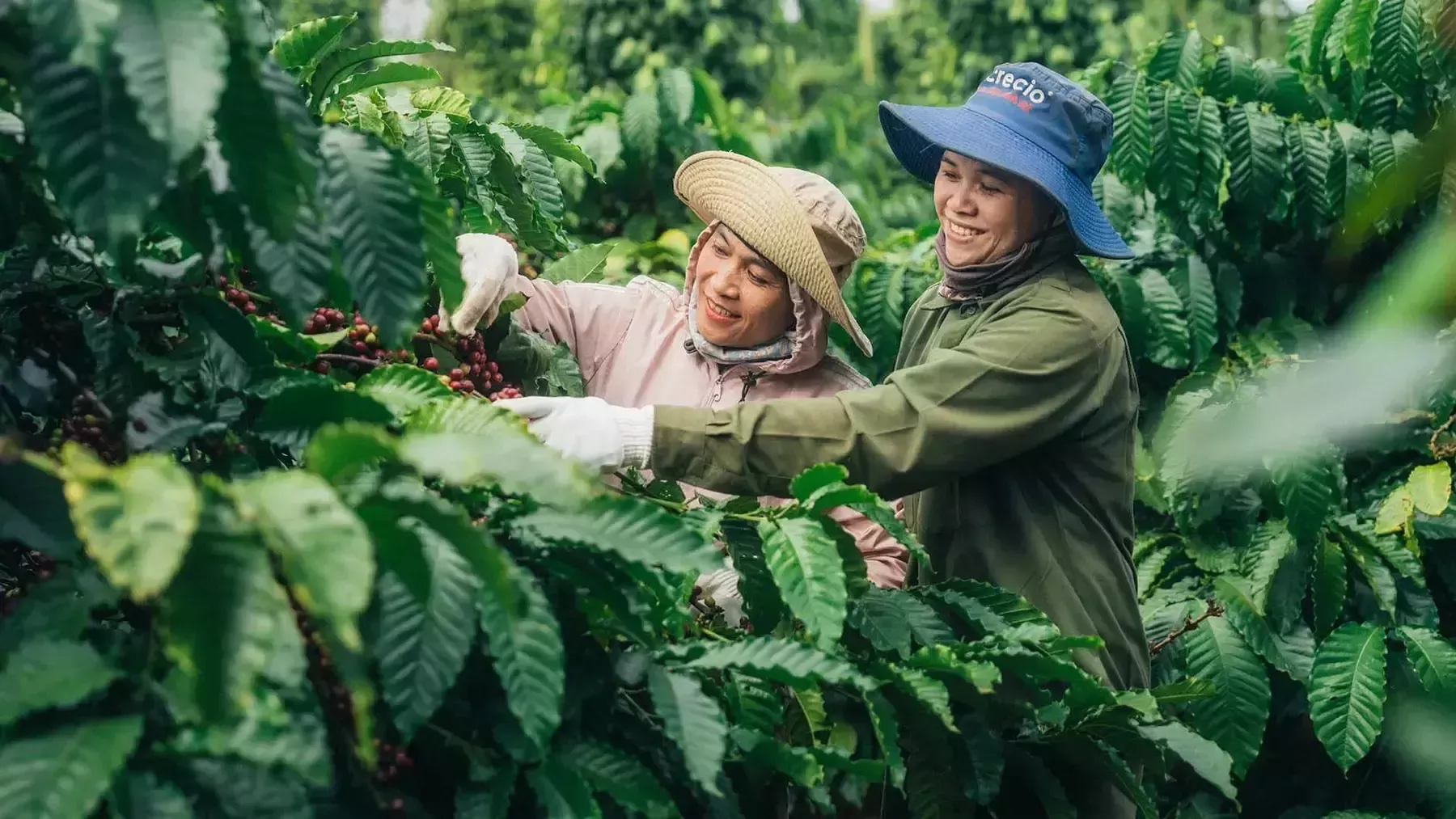 agriculture-food-systems-story-banner