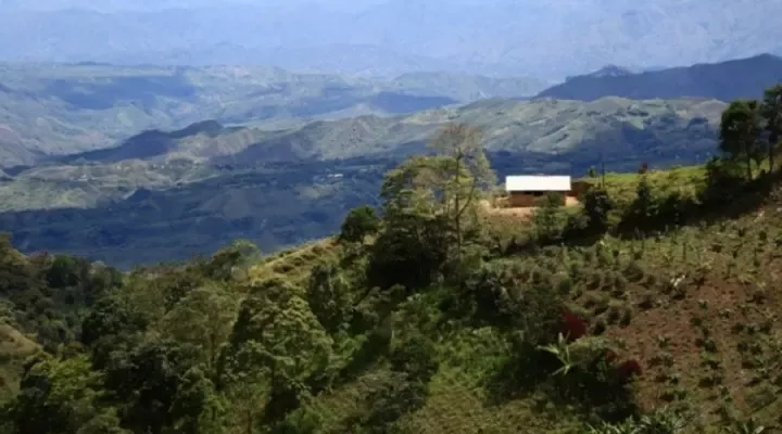 Regenerative Agriculture