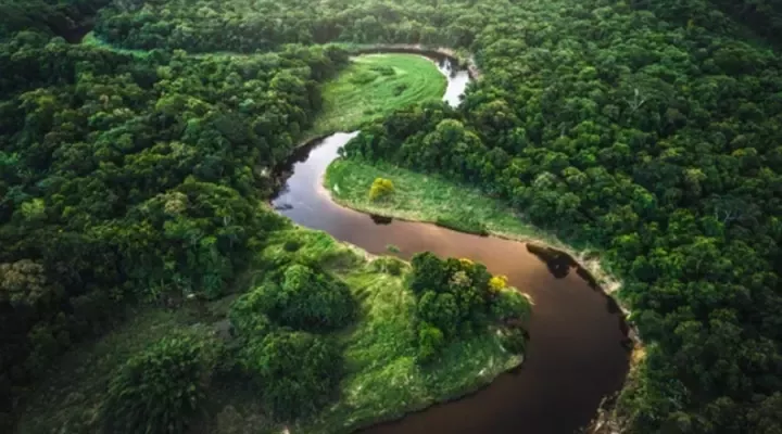 Protecting nature