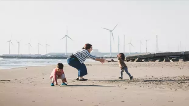 Our road to Net Zero