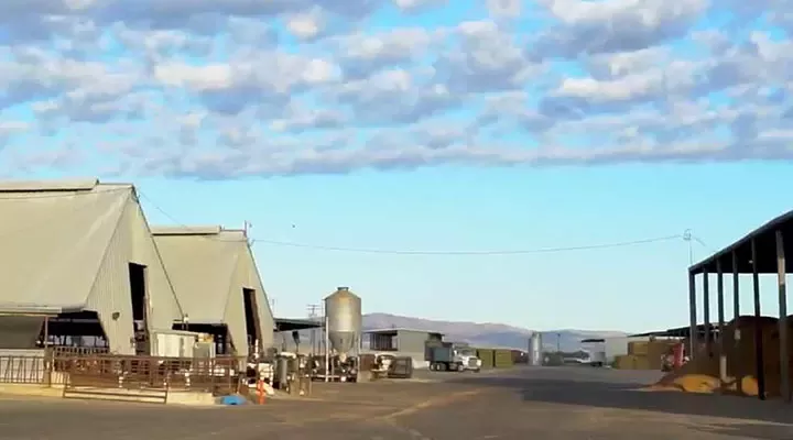 Net zero dairy farm