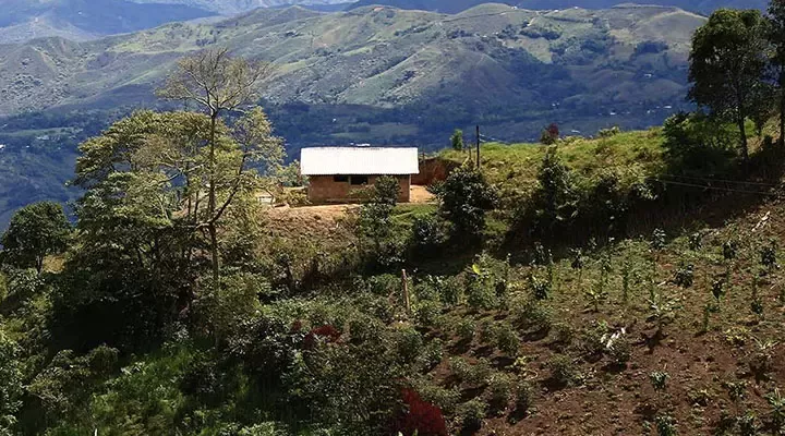 Regenerative agriculture
