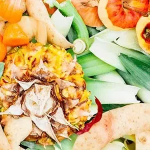 Food scraps and fruit peels collected for composting and reducing household food waste