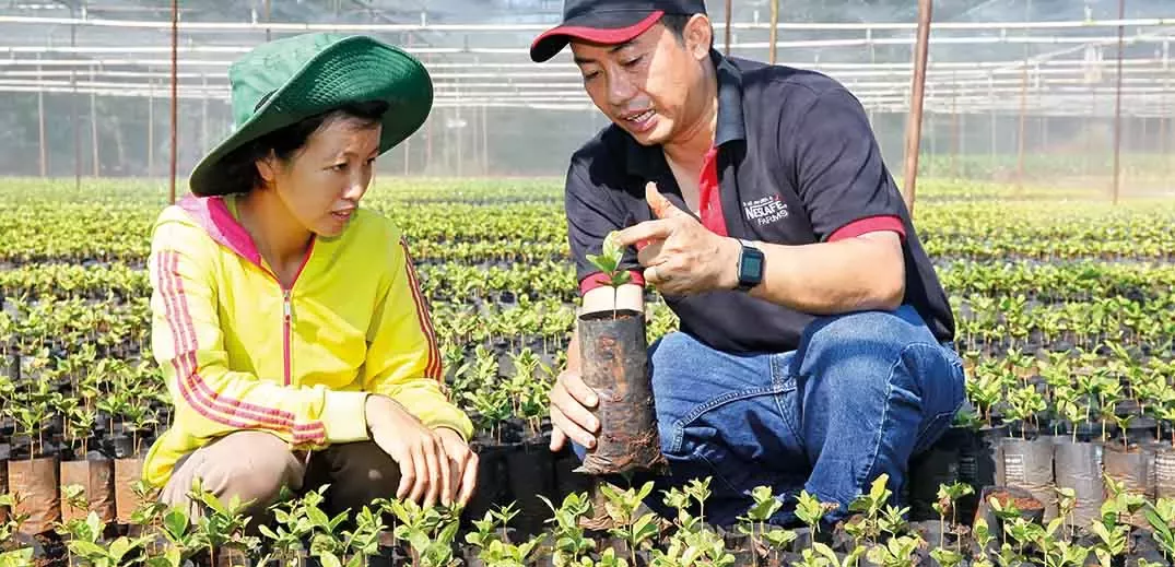 nescafe-plan-farmer-training-wide