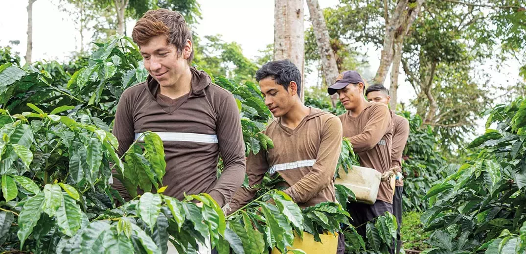 regeneration-coffee-next-generation-wide
