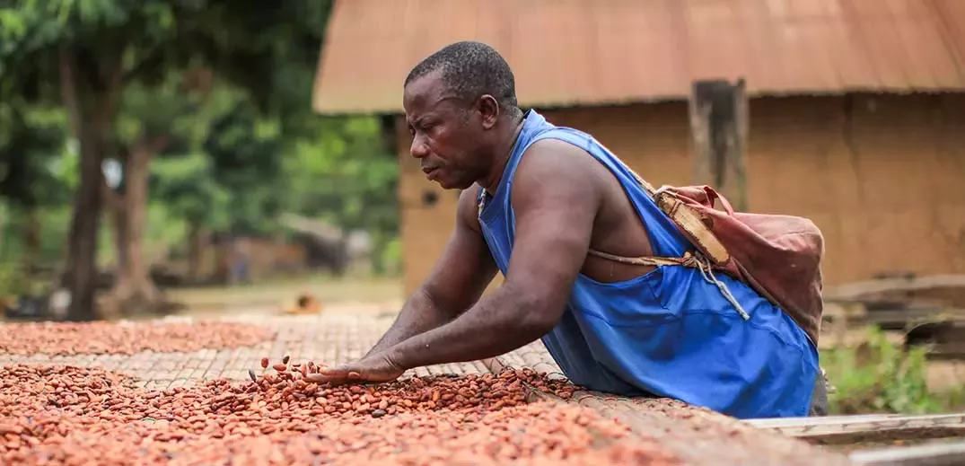 farmer working