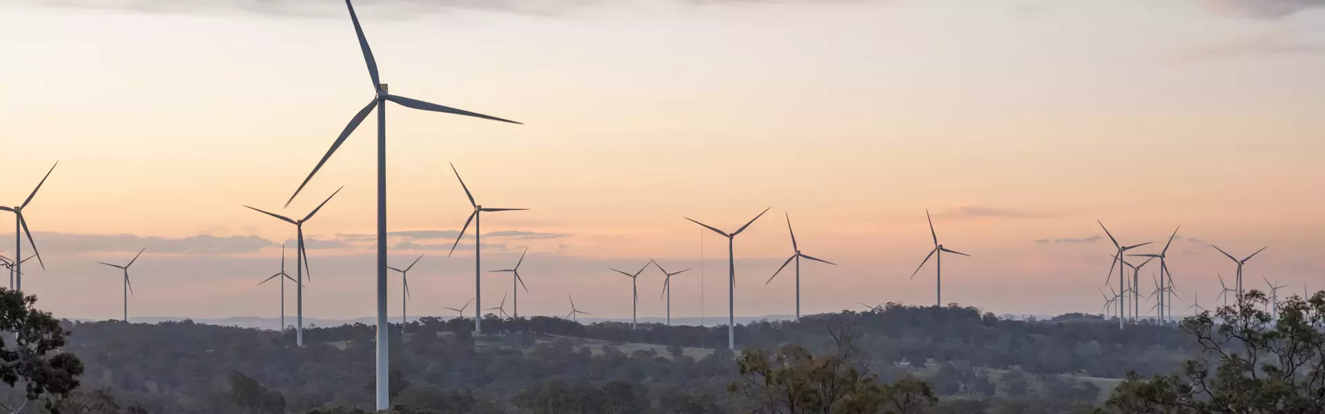 Nestlé New Zealand powered by 100% renewable electricity